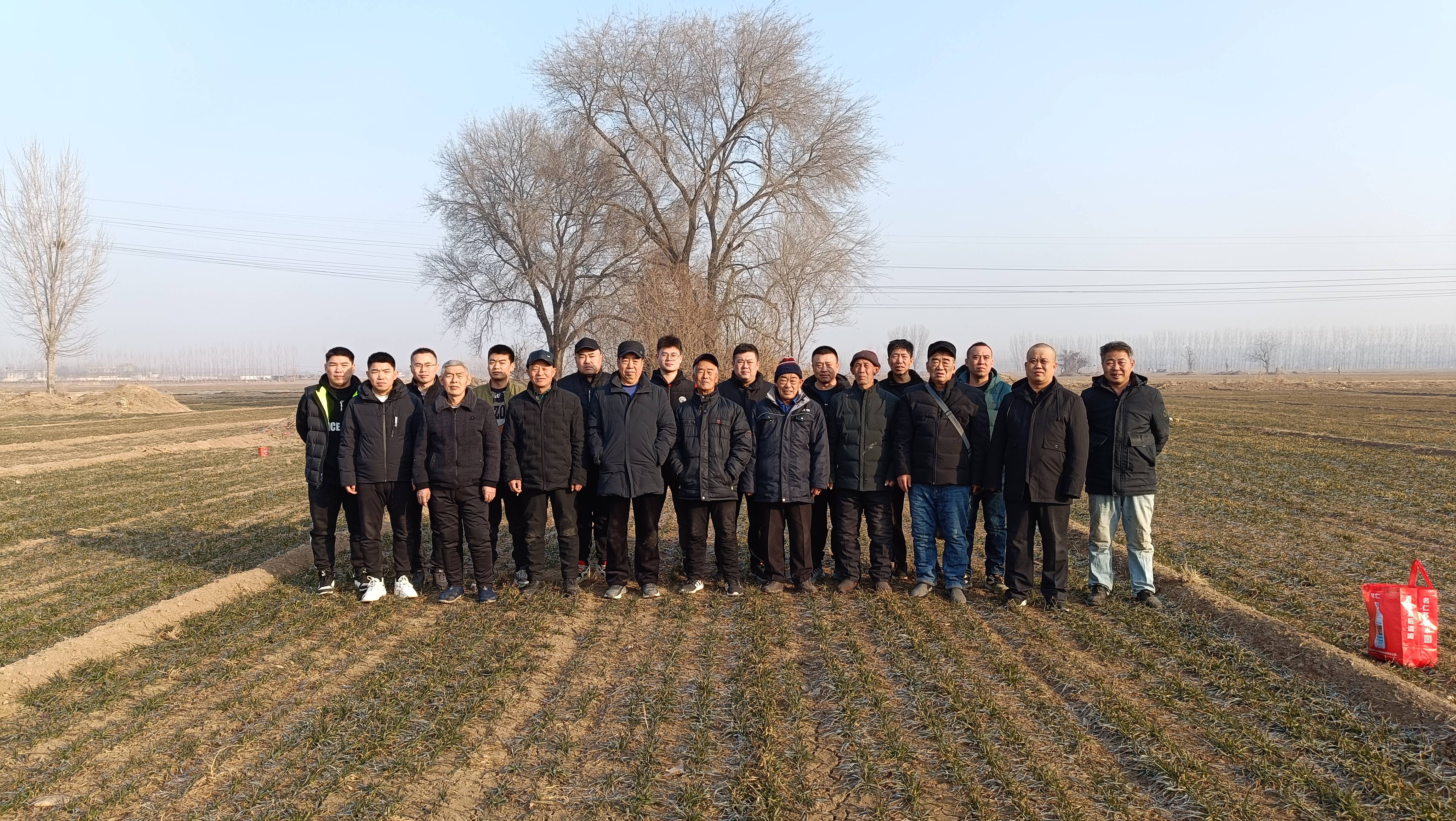 衡水高新区呼家村:今年村里拜年好热闹_家族_儿子_先辈