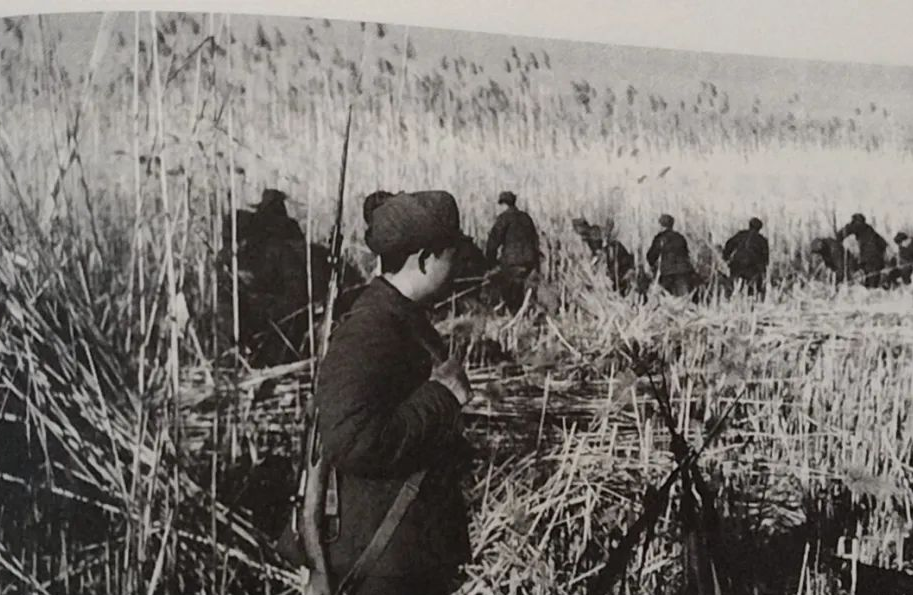 一文读懂第八师石河子市的历史变迁和行政区划_沙湾县_公元_兵团司令