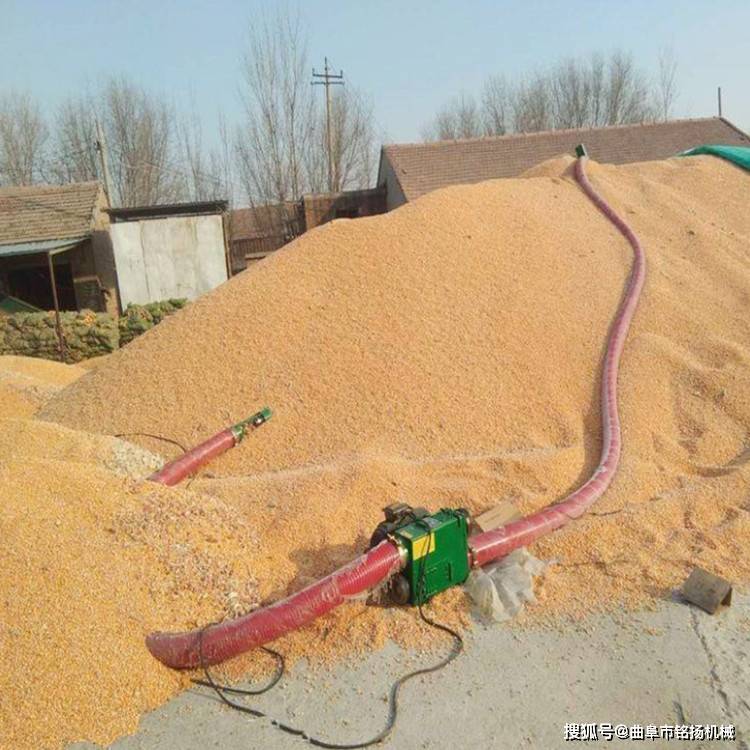 车载式吸稻机 100毫米软蛟龙吸粮机 两相电加厚软管抽粮机_局部_工作