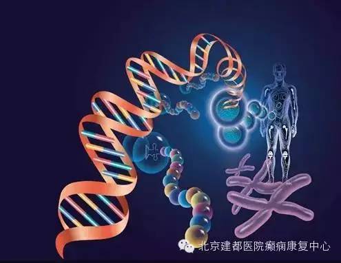 传导_电信号_神经元