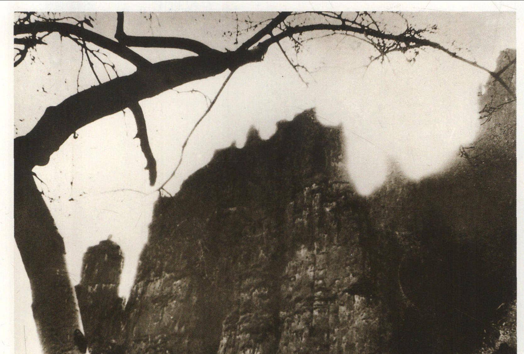 狼牙山五壮士跳崖后,其中2人被神秘人救下,45年后恩人身份曝光_进行