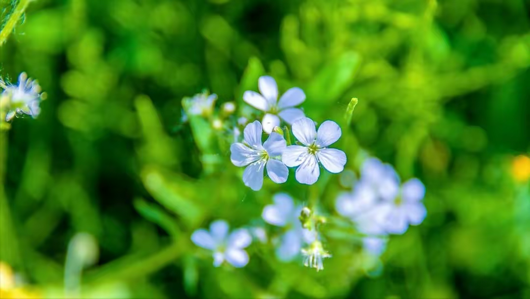 过年亲家公生病,儿媳让她去照顾,56岁阿姨:我不去别拿养老说事_家庭