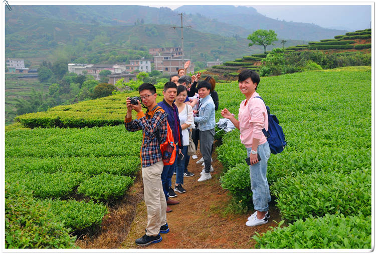 茶艺技师证怎么考_报考技师条件茶艺师需要什么_茶艺师二级技师报考条件
