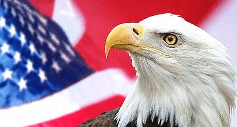 的国家_鸟类_丹顶鹤