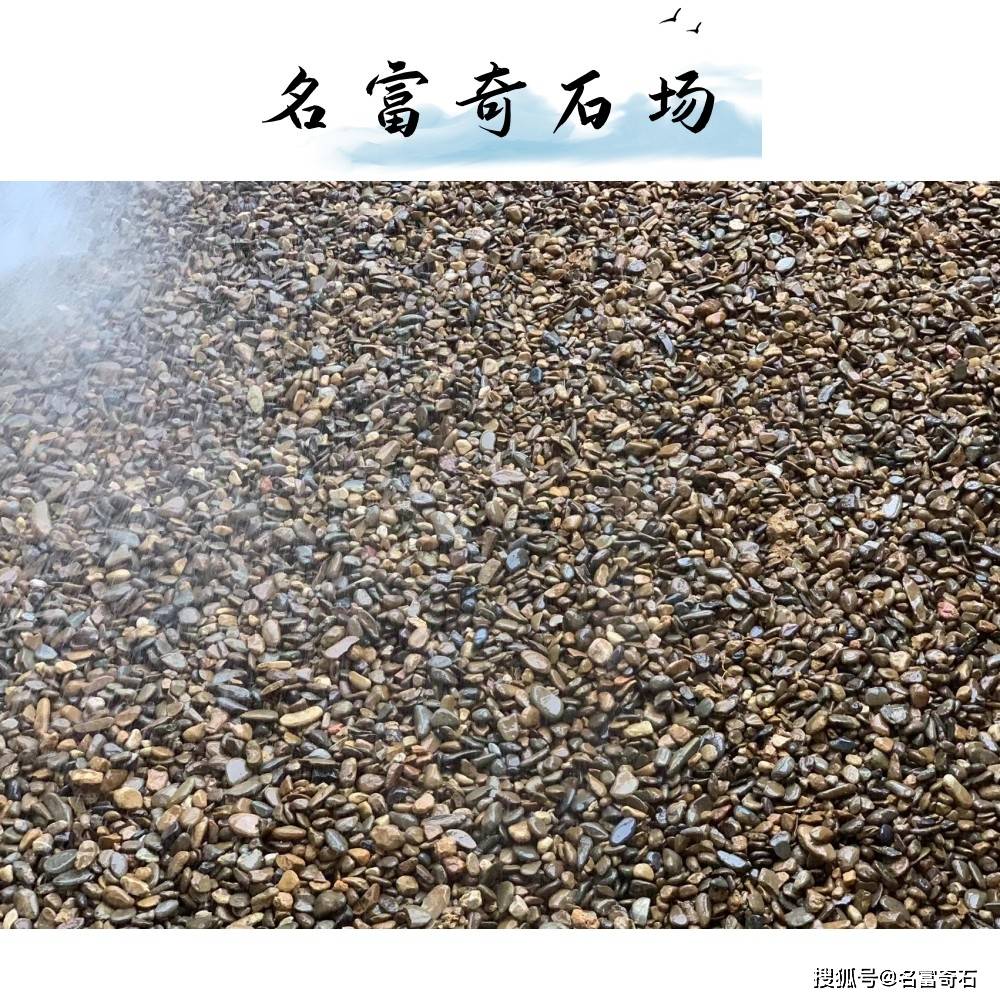 中山鹅卵石庭院盆栽园艺铺面石 鹅卵石机制园林造景 鹅卵石厂家批发