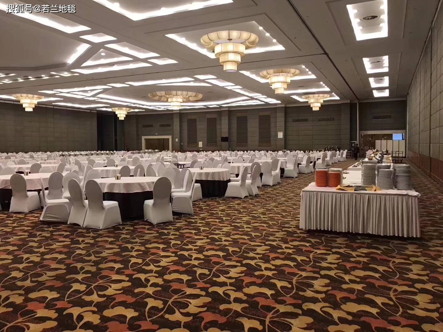 宴会厅地毯材质介绍 若兰地毯_星级酒店_颜色_价格