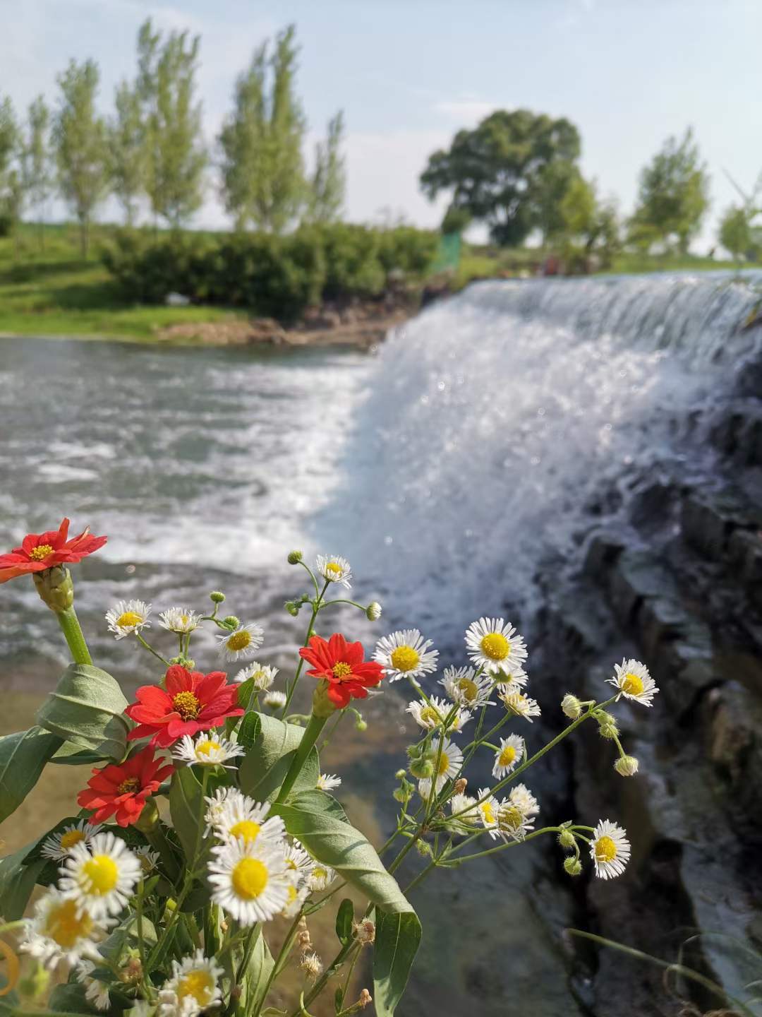 全先勇词作 点绛唇·过大年(两首)_兰陵_无敌_大仲村镇