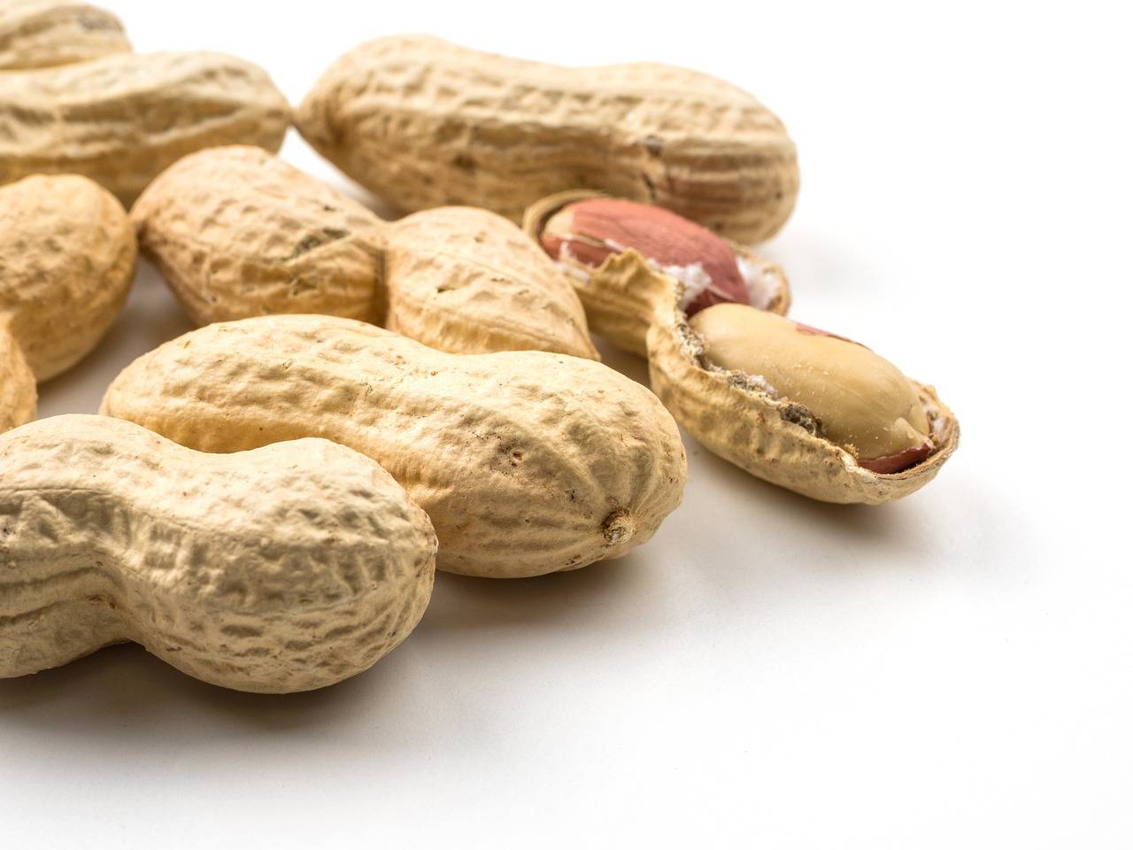 南方花生什么时候种植最好?_服务平台_地区_土壤