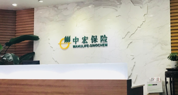 中宏保险新总经理获批 今年多家保险公司调兵遣将_人寿_吴晓咏_收入