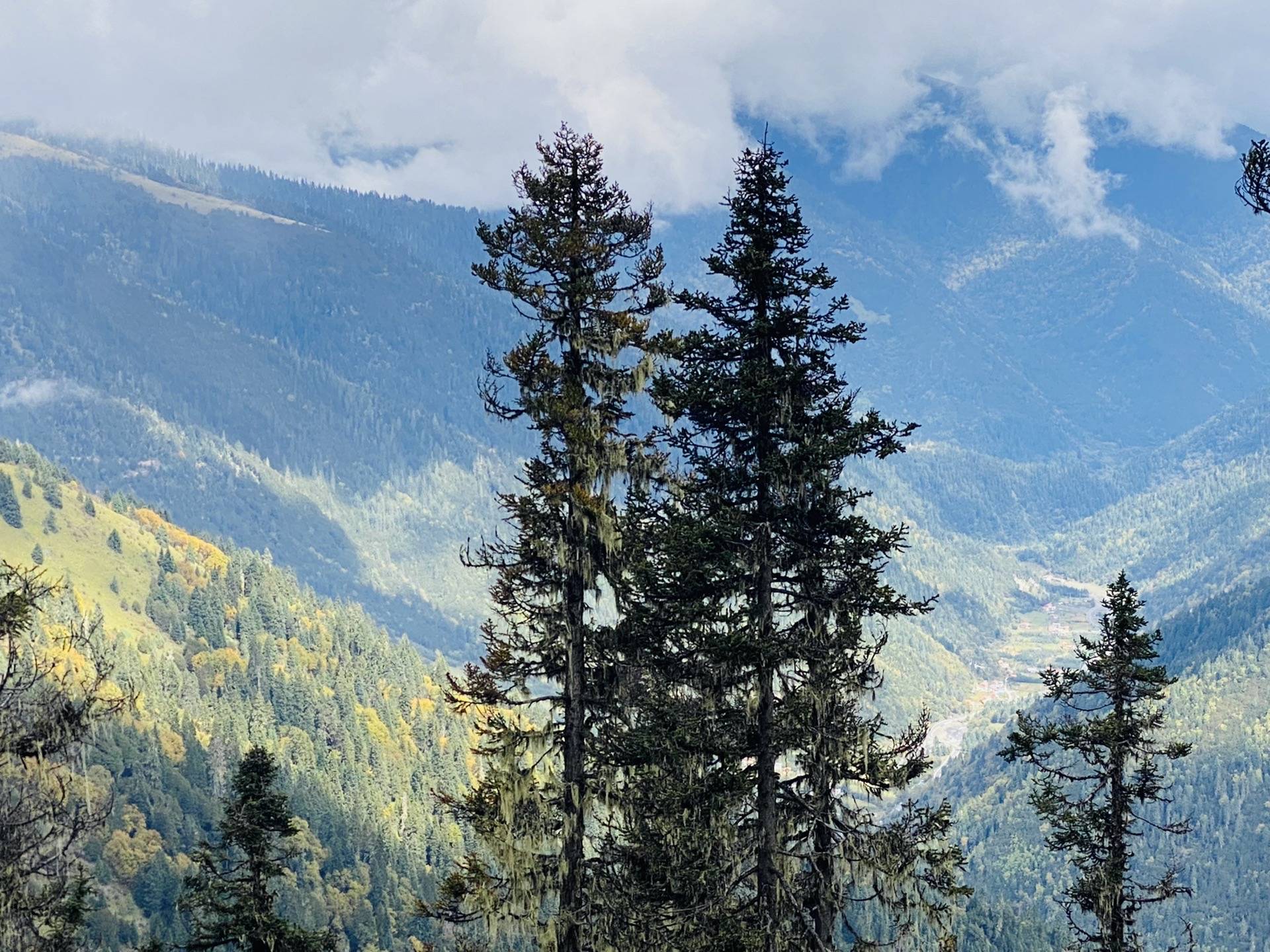 川西藏在深山里的小众景点情人海牛肝马肺美景_阿科里乡_风景_寺庙