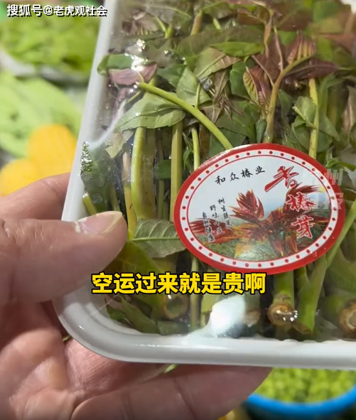 浙江杭州:菜市场惊现香椿刺客,现货一斤最贵150元,在农村可遍地免费