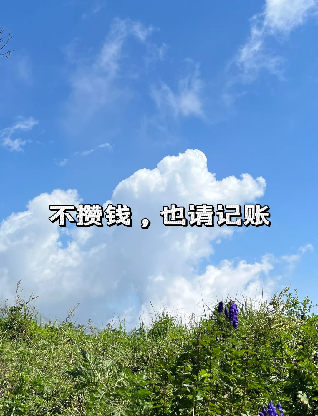 不存钱真的不行了_记账_生活_存款