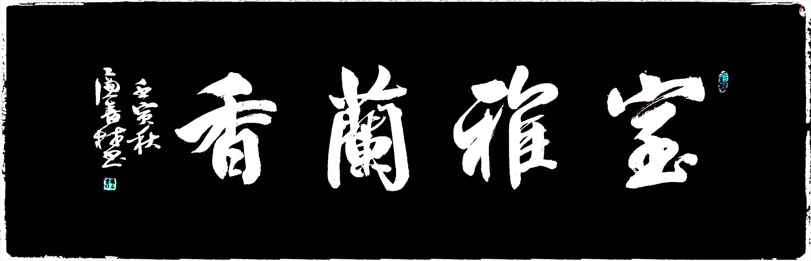 【中央电视台】cctv《艺术名家》栏目特聘艺术顾问——廉喜林_书法