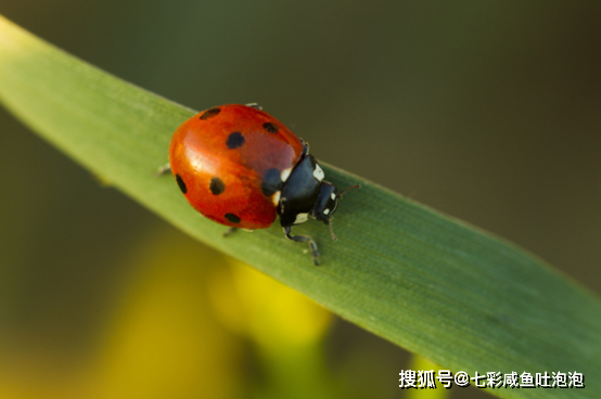 惊蛰养生注意事项
