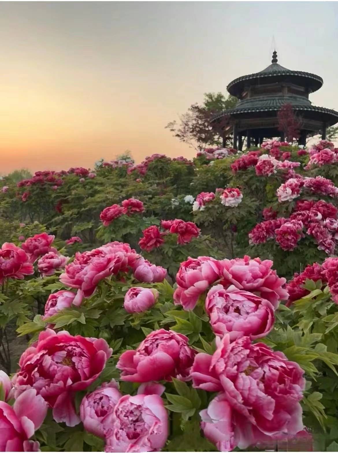 河南三天行程攻略人均800元,河南3日游攻略及费用,旅游必看攻略