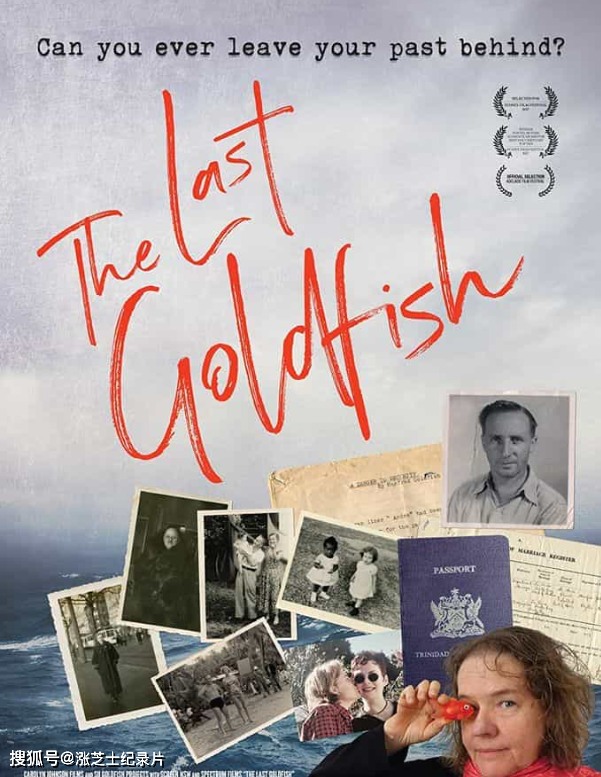 10321-澳大利亚纪录片《最后的金鱼 The Last Goldfish 2017》1080P/MKV/1.86G 难民故事
