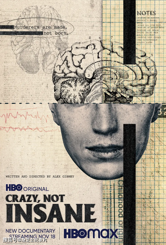 10344-HBO纪录片《疯狂不疯癫 Crazy, Not Insane 2020》1080P/MKV/1.83G 犯罪心理学