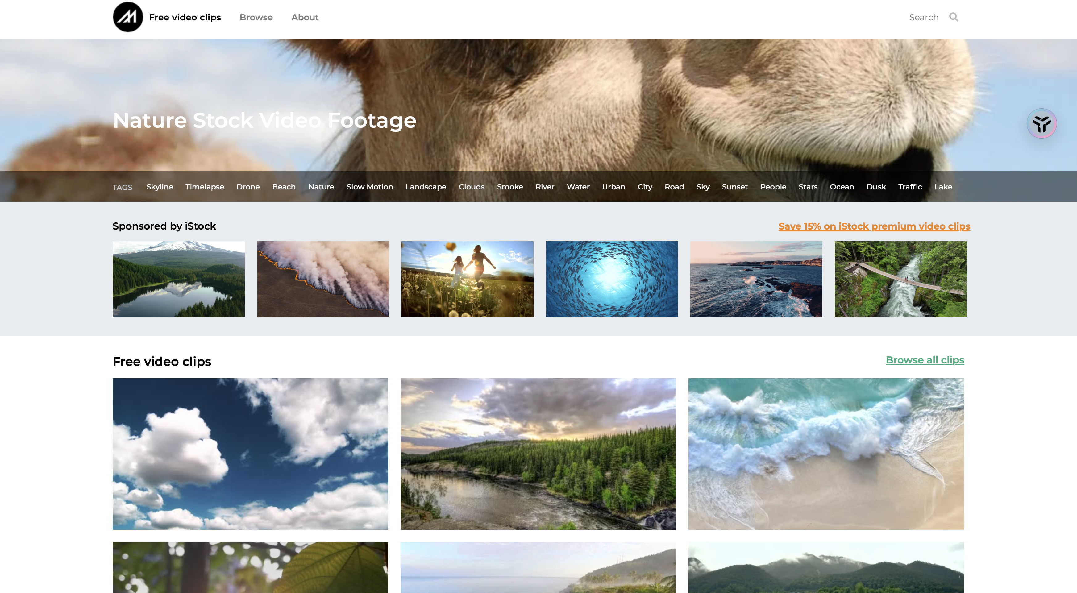 如果你需要富有艺术感的解压视频素材,那么mazwai将是你的不二之选.5.