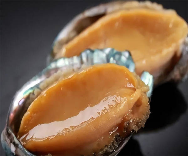 鲍鱼理化指标检测鲍鱼重金属含量检测