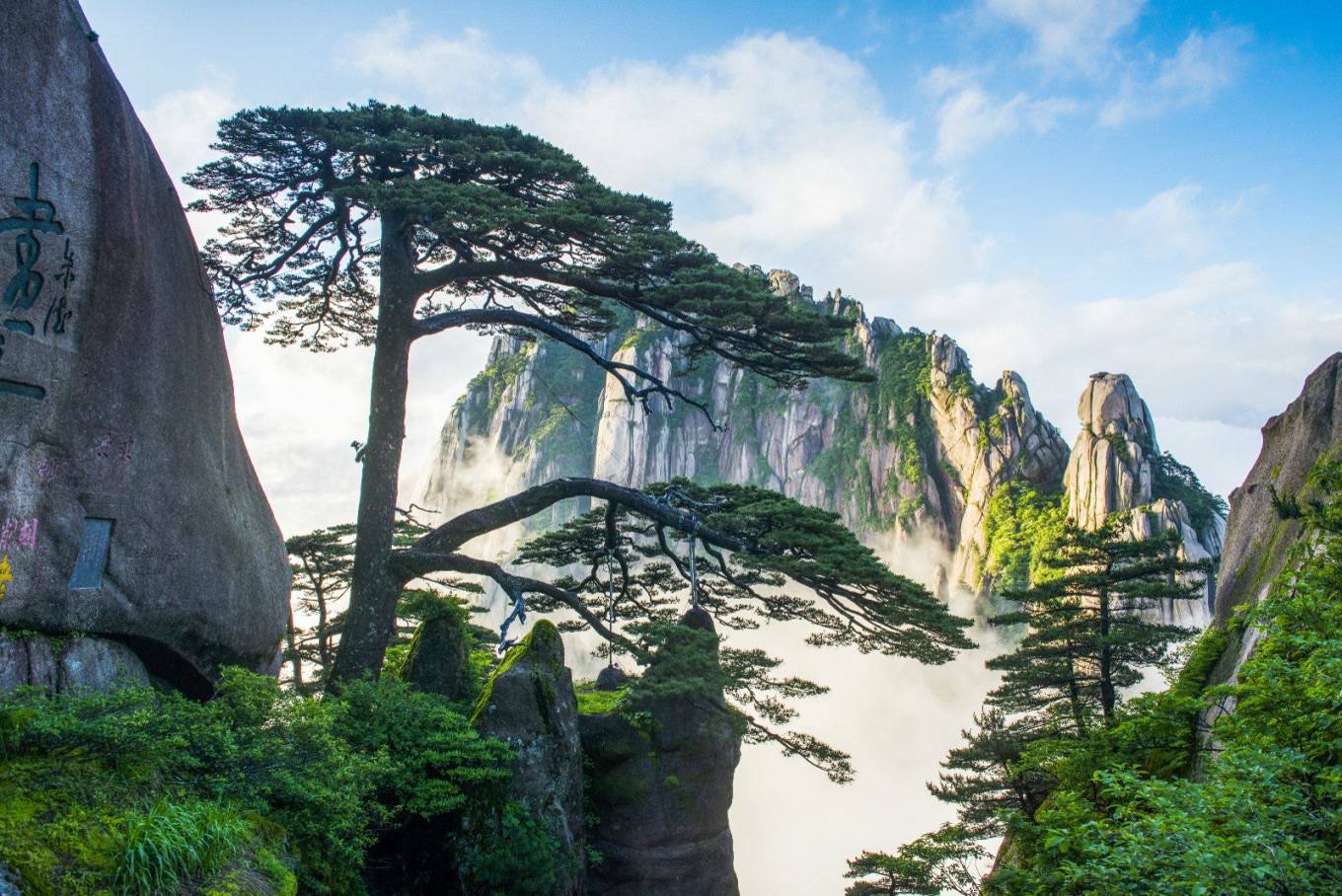 黄山区附近免费景区图片