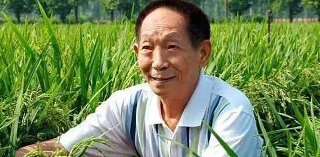 原创袁隆平孙女眼中的爷爷看天气预报的经常藏零食让我们偷吃