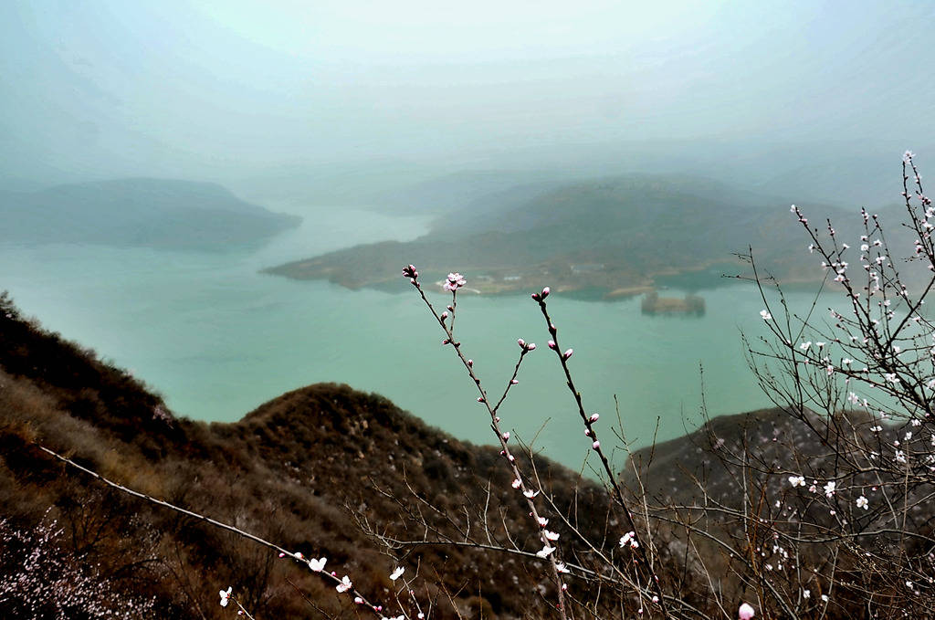 洛阳荆紫仙山第十届黄河桃花文化旅游节盛大开幕!_游客_新安_景区