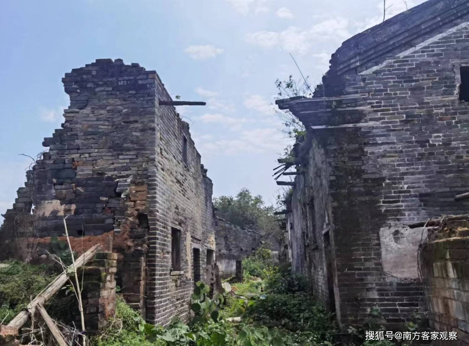 老屋古树系乡愁_古村_历史_桂头镇