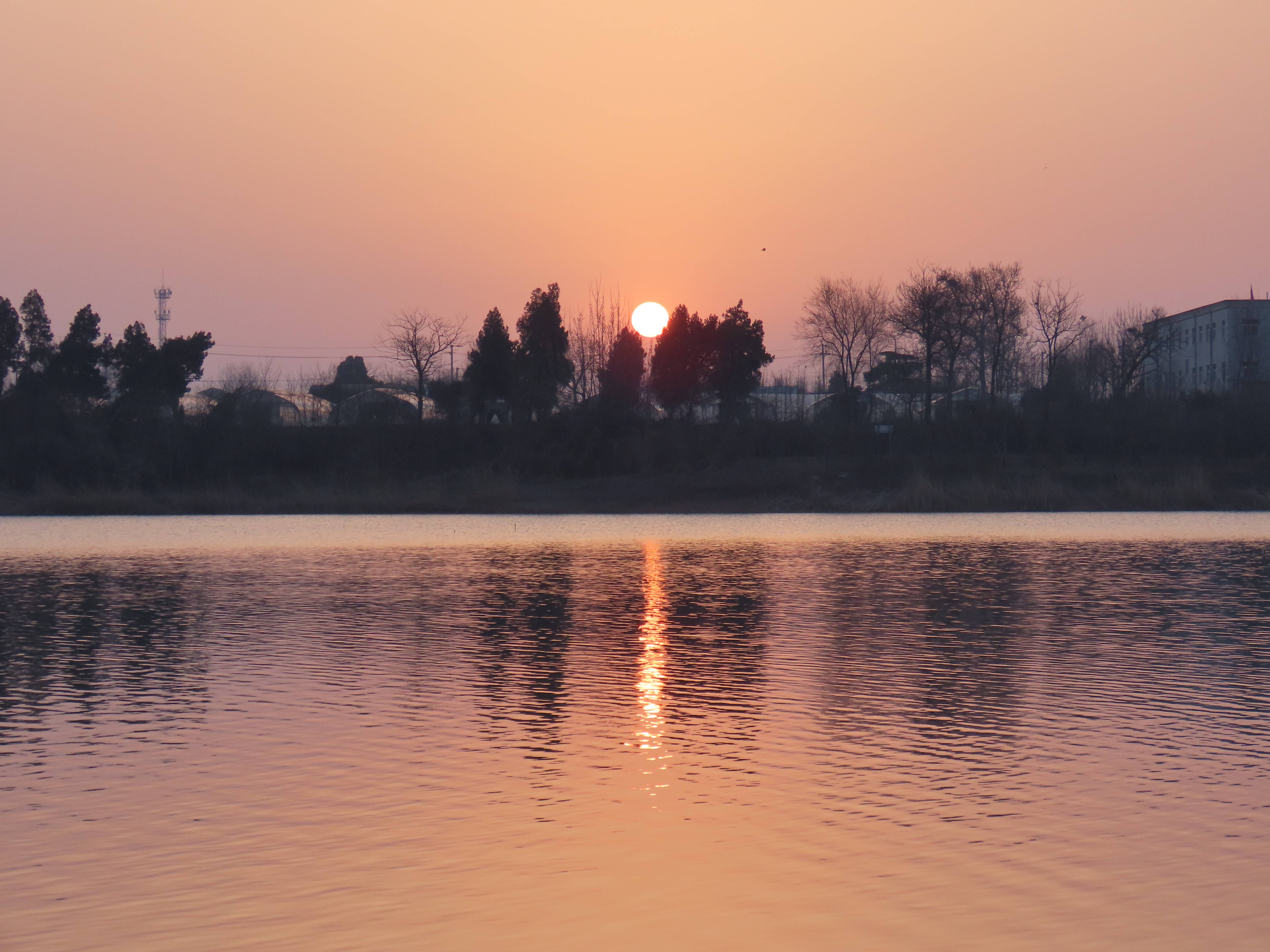 岭军峪的春天_杏花_晨曦_苍鹰