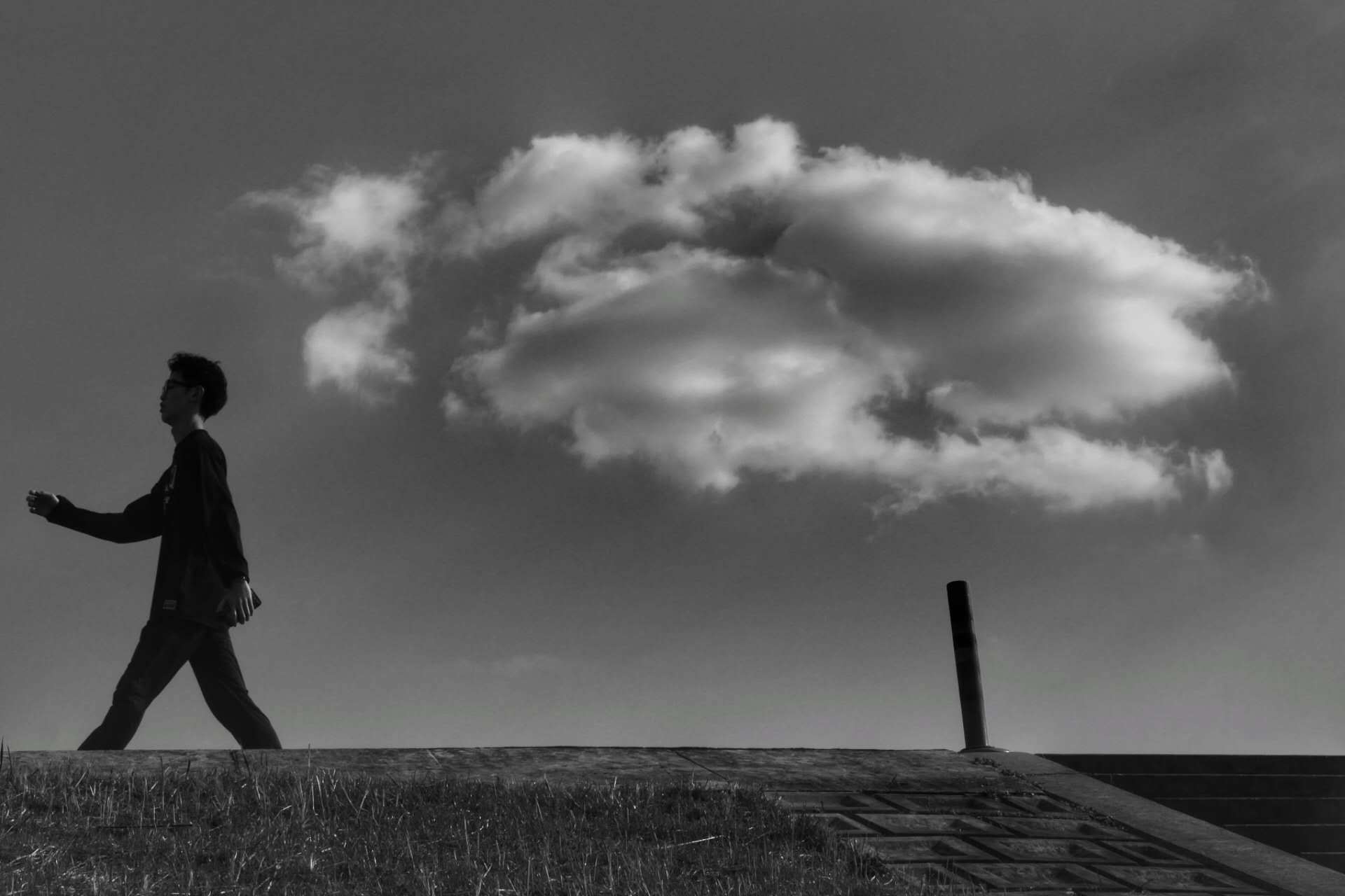 陆 文骆金星柳松薛金凤邹佩飞王济华顾培年孙明