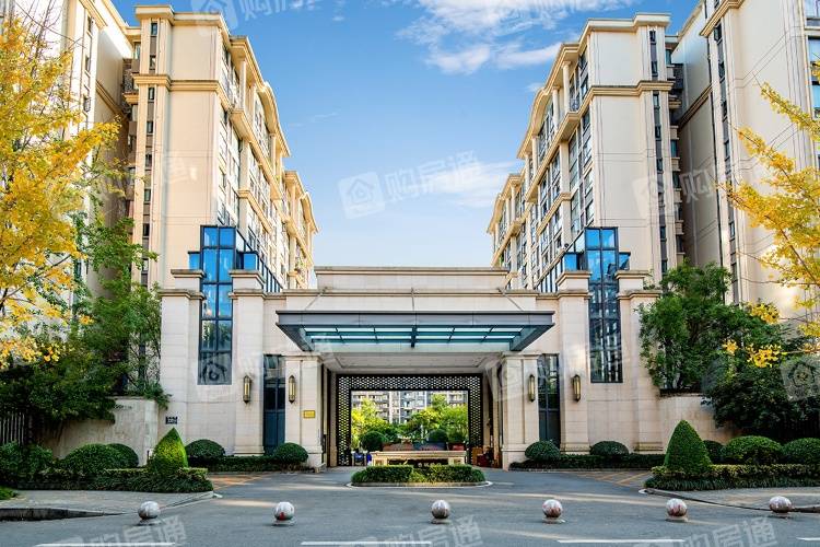 并承接武侯新城的外溢人口复合区域的行政,经济,文化等多项功能东升