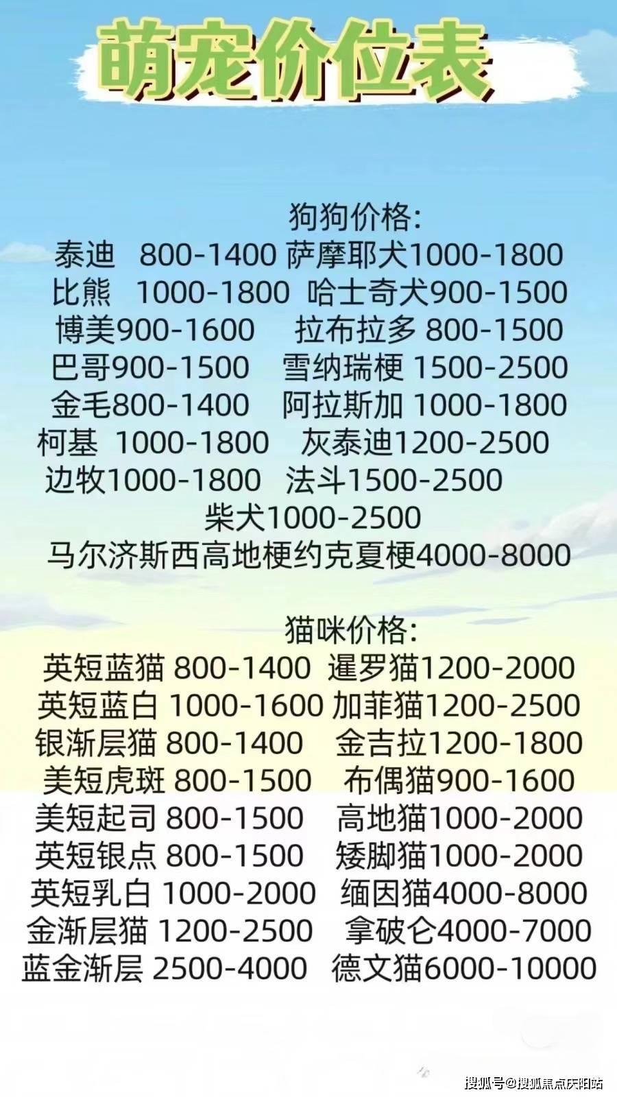 温州买萨摩耶首页网站温州温州买萨摩耶的地方丨温州买萨摩耶去哪里买