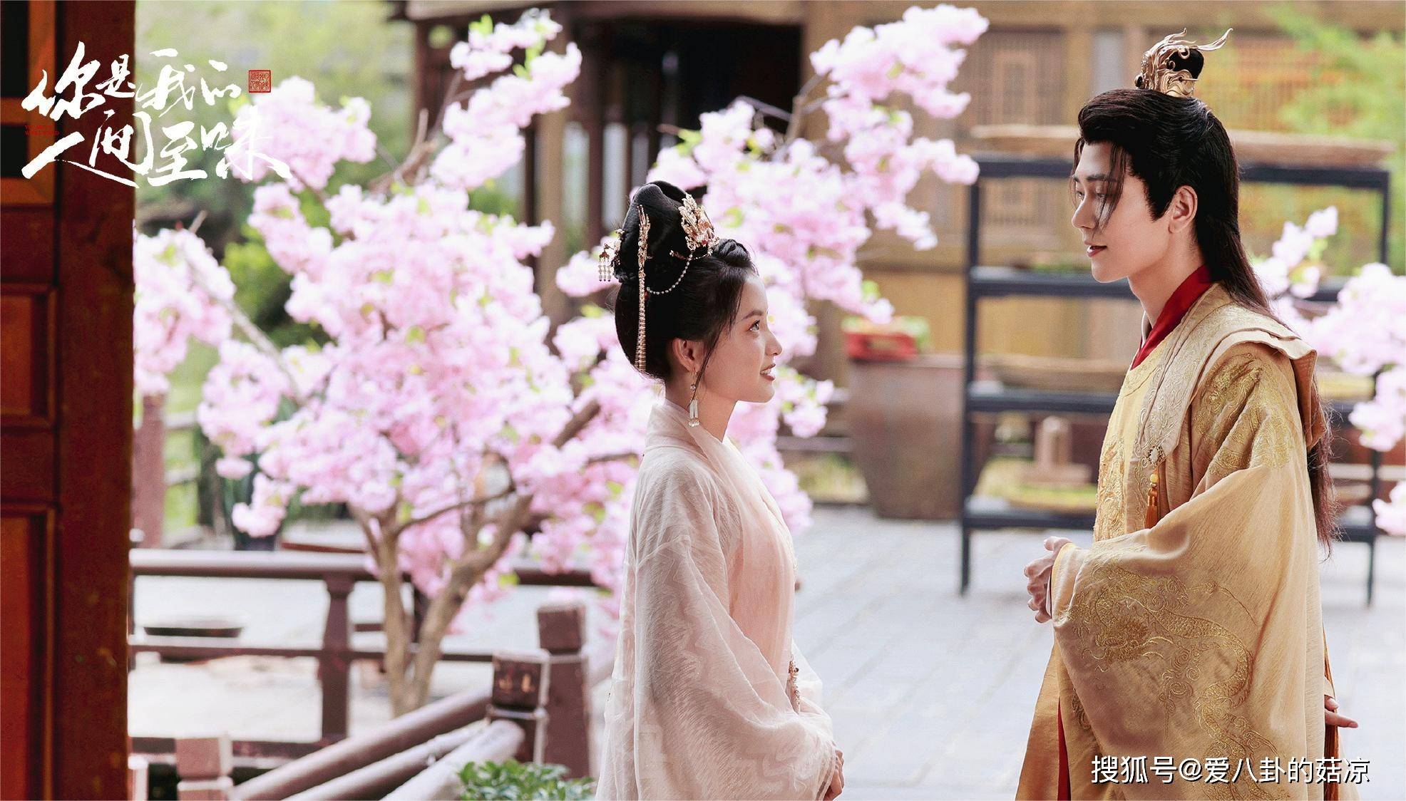 原创今日开播新一部古装甜宠剧来袭古灵厨娘腹黑少主宿命之恋