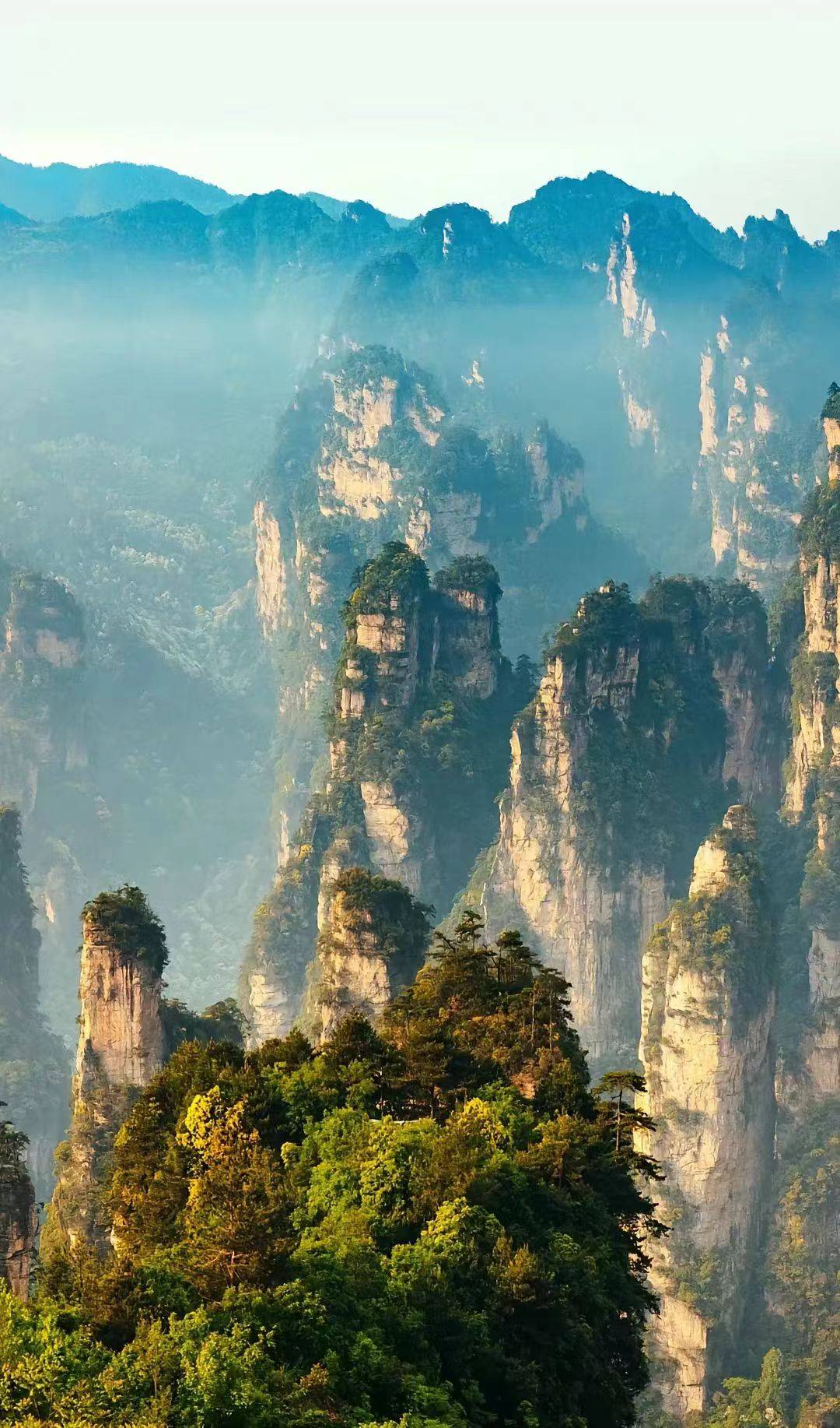 张家界森林公园跟团费用张家界旅游参团价格多少980块当地跟团5天报价