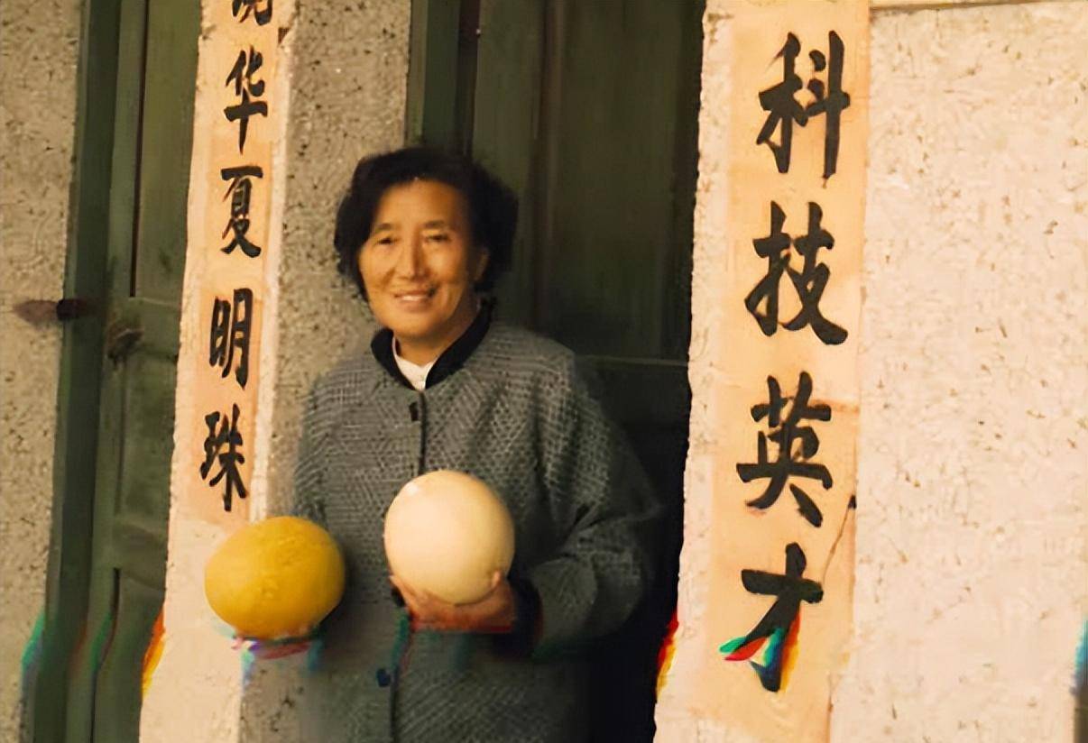 原创西部瓜王吴明珠和袁隆平是同学奋战62年让国人实现吃瓜自由