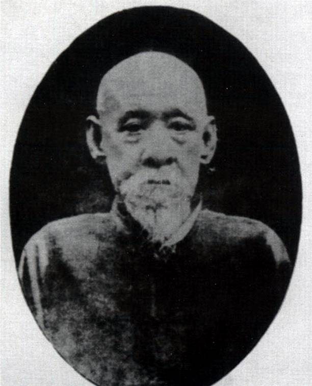 从督抚的人事变动上不难看出清廷对越南问题的强硬立场,张树声,岑毓英