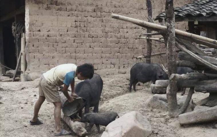 原创央视慈善晚会一企业家现场追加7000万善款身世揭开后感动国人