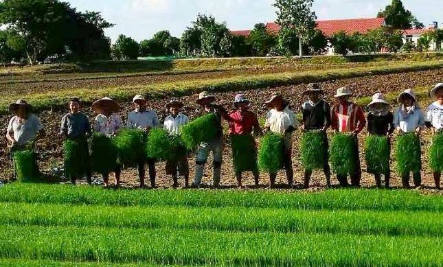 原创东南亚小国柬埔寨非法性交易屡禁不止未来又该如何破局