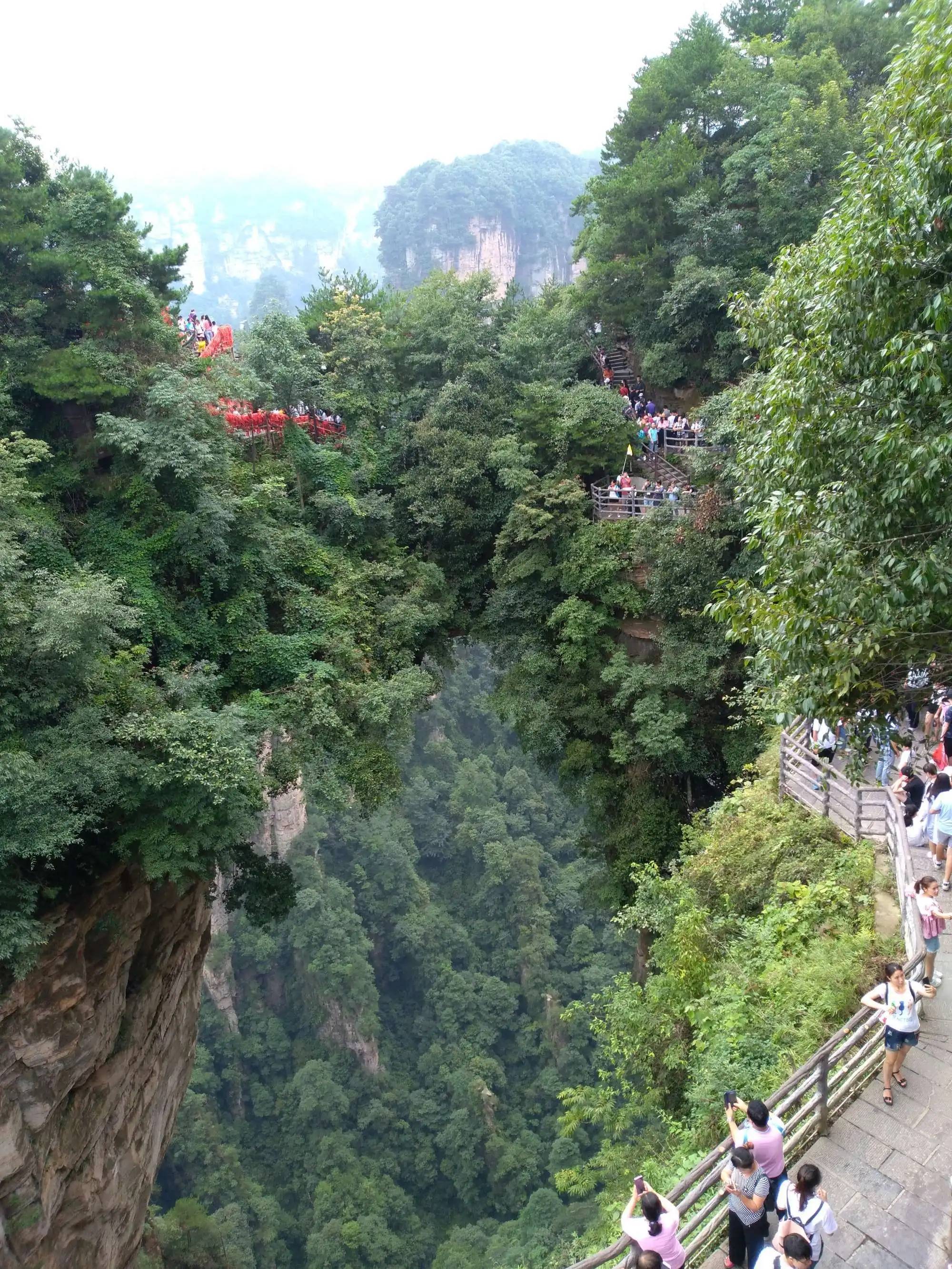 到张家界凤凰古城芙蓉镇旅游五天四晚报当地旅游团大概要多少钱 省钱