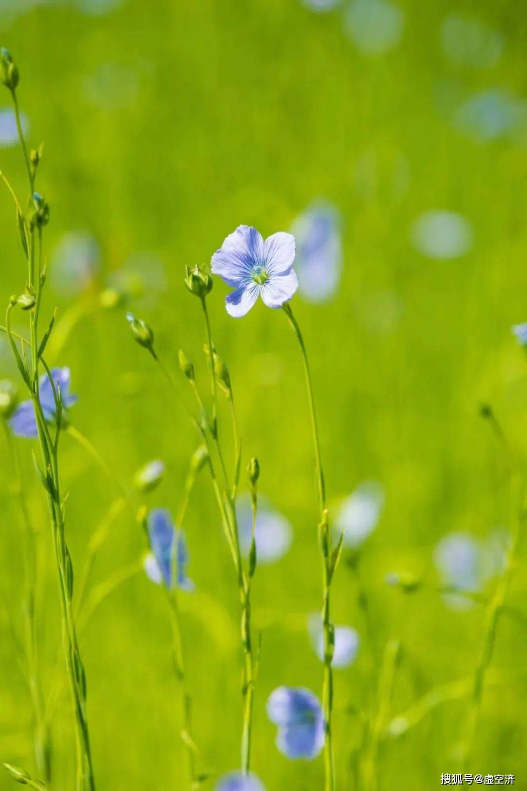 情绪平和的价值问答录