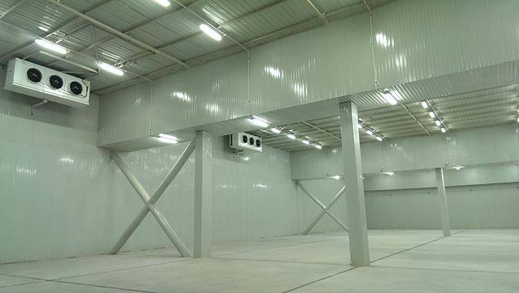 药品冷库工程建造如何安装深圳德宝冷库