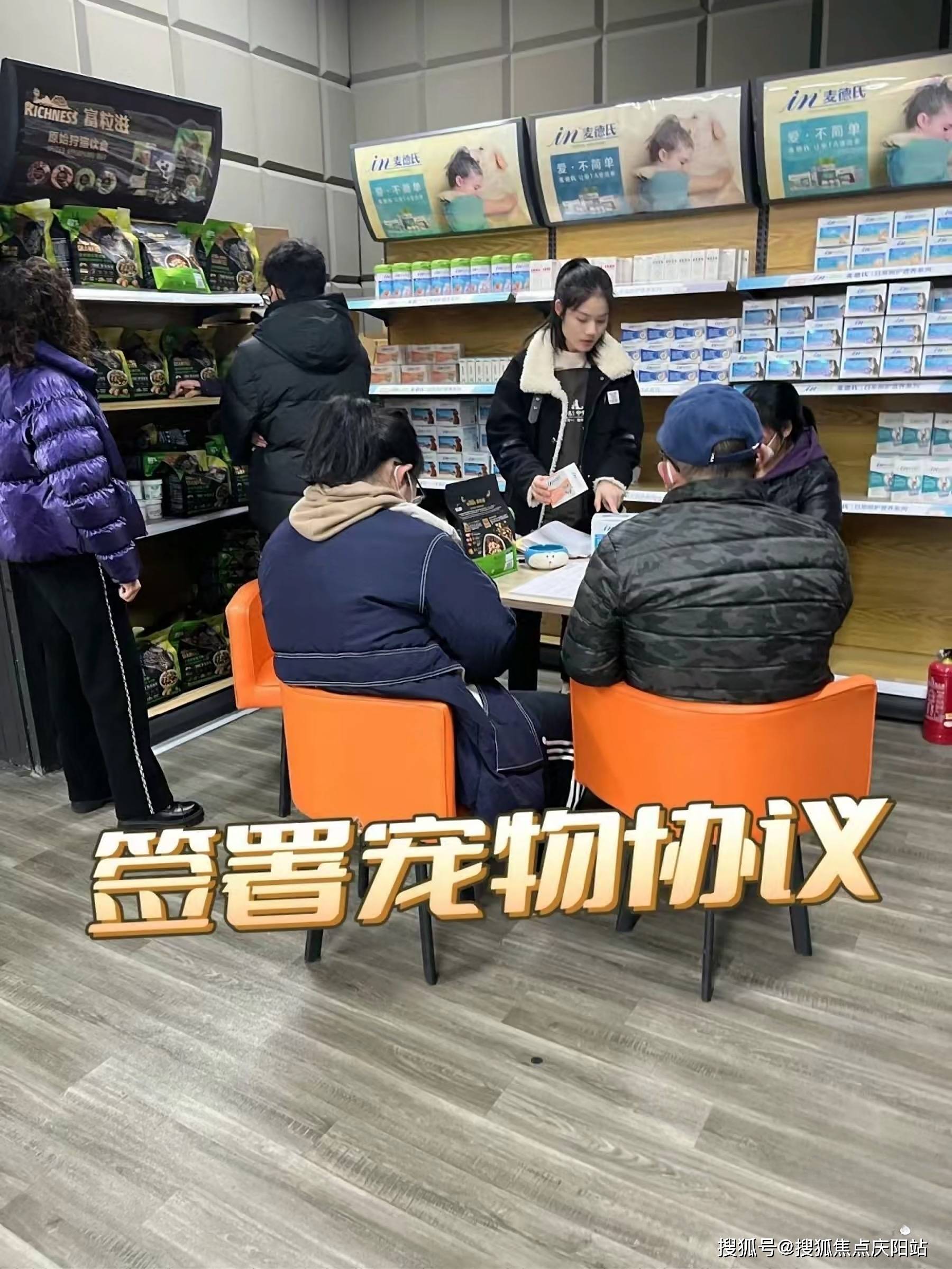 杭州拉布拉多首页网站杭州拉布拉多什么价格丨拉布拉多什么价格