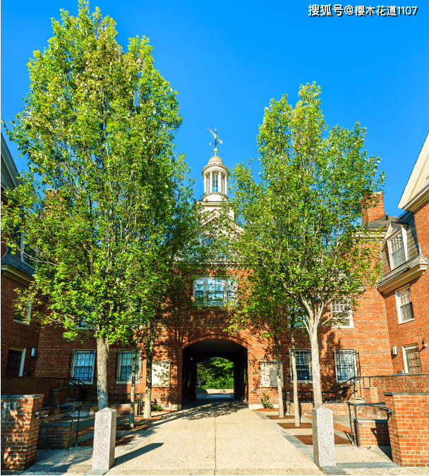 哈佛大学博士后项目简章_申请者_能力_研究