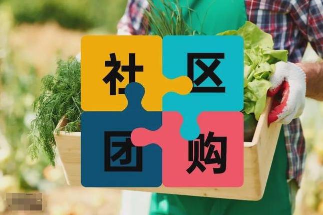 信任度对社区团购的影响_平台_消费者_商家