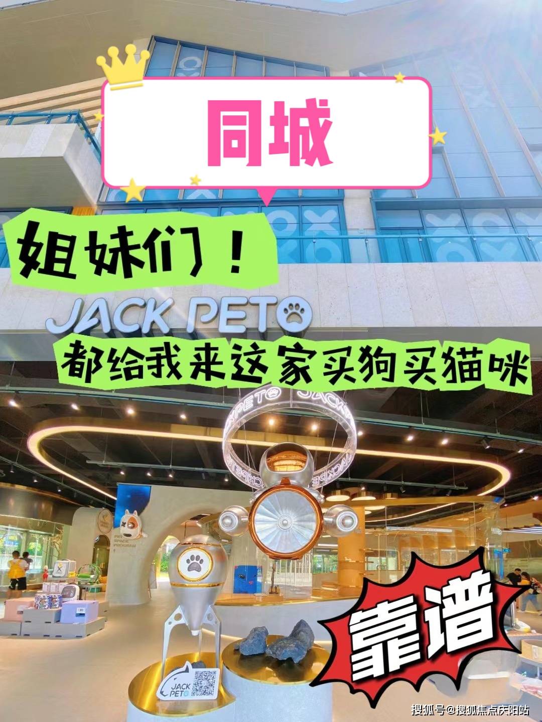 洛阳买边牧幼犬首页网站丨洛阳老城区哪家宠物店有卖边牧幼犬的