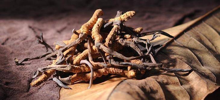原创2000年前古墓挖出十吨钱山黄金超6万克墓主为何这么土豪