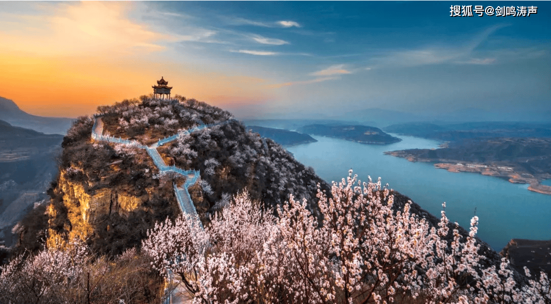 洛阳牡丹甲天下,我在洛阳等您来!_文化_历史_公园