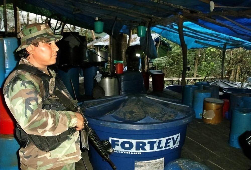 达乌德大手一挥,筹集巨资,在印度建立了制毒工厂,所制毒品畅销整个