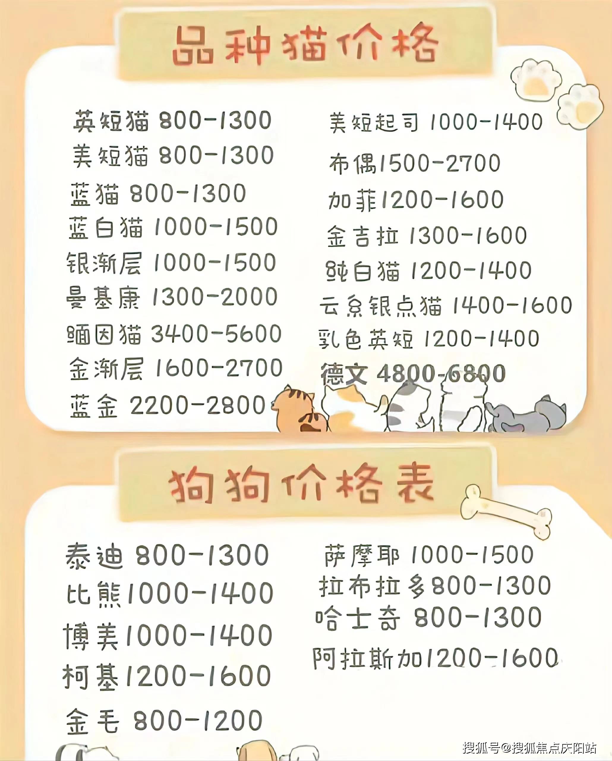 长沙缅因猫首页网站长沙缅因猫哪里买比较安全丨缅因猫哪里买比较安全