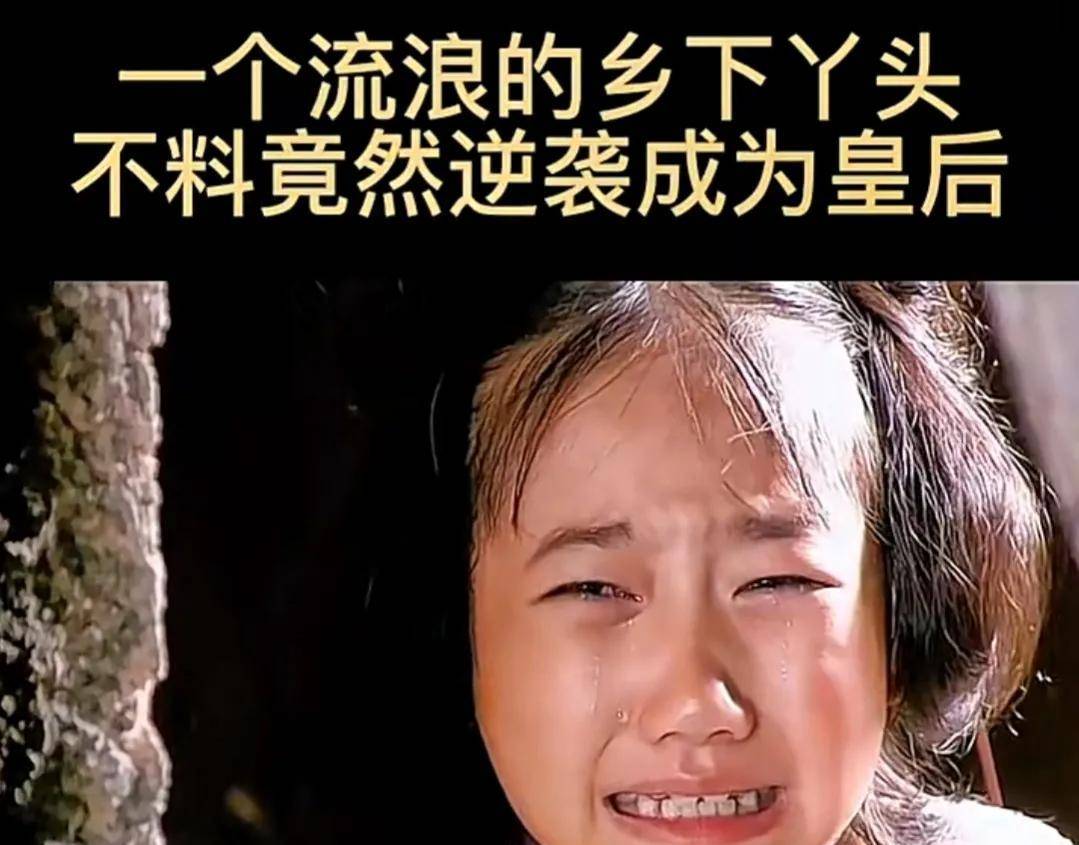 卫子夫的母亲是平阳公主府的婢女,而她从一个流浪小女孩,后逆袭成皇后