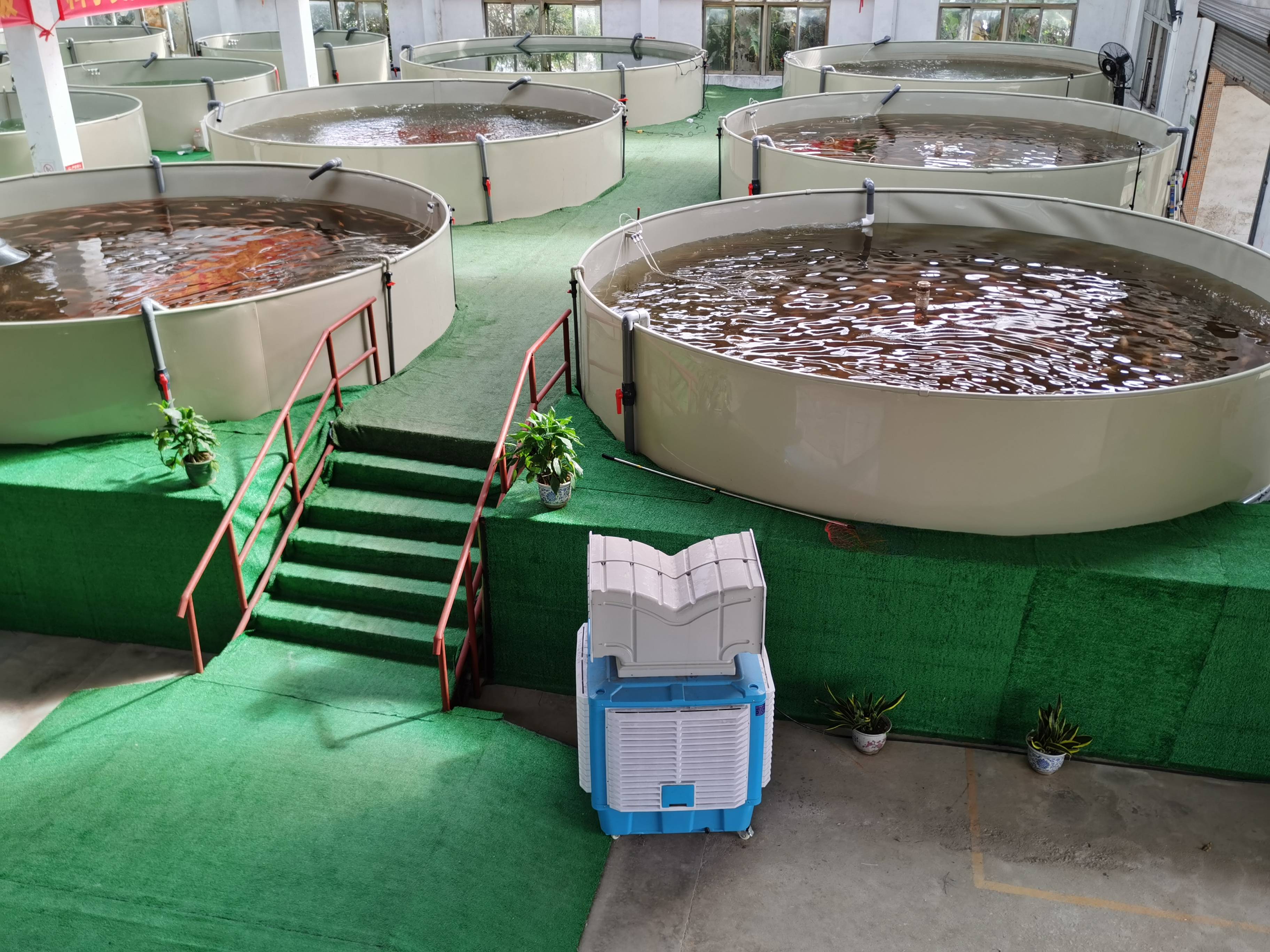 佛山市辉创众兴农业生物科技有限公司工厂化循环水养殖助力对虾养殖